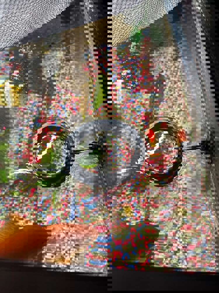 1099696