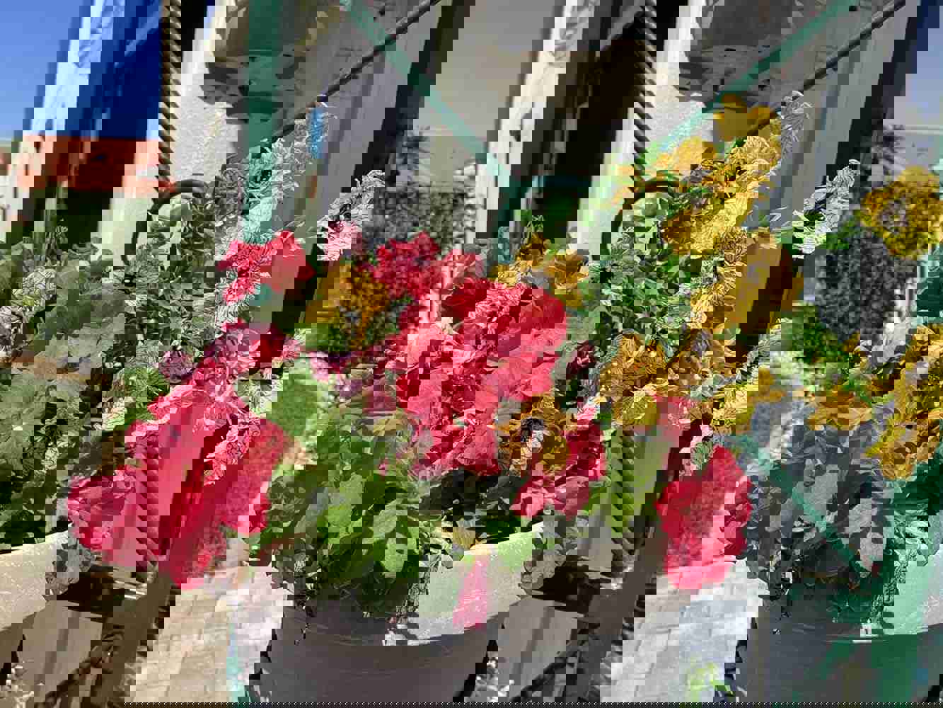 1102783