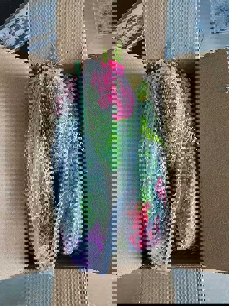 1102811