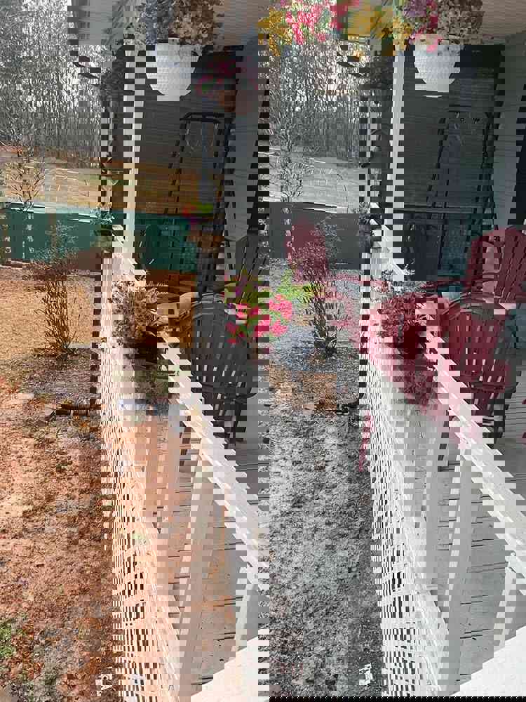 1102810