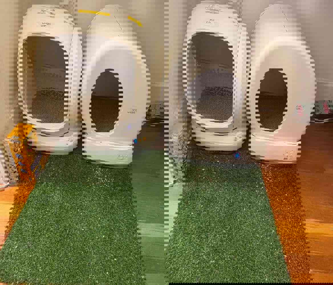 1100365