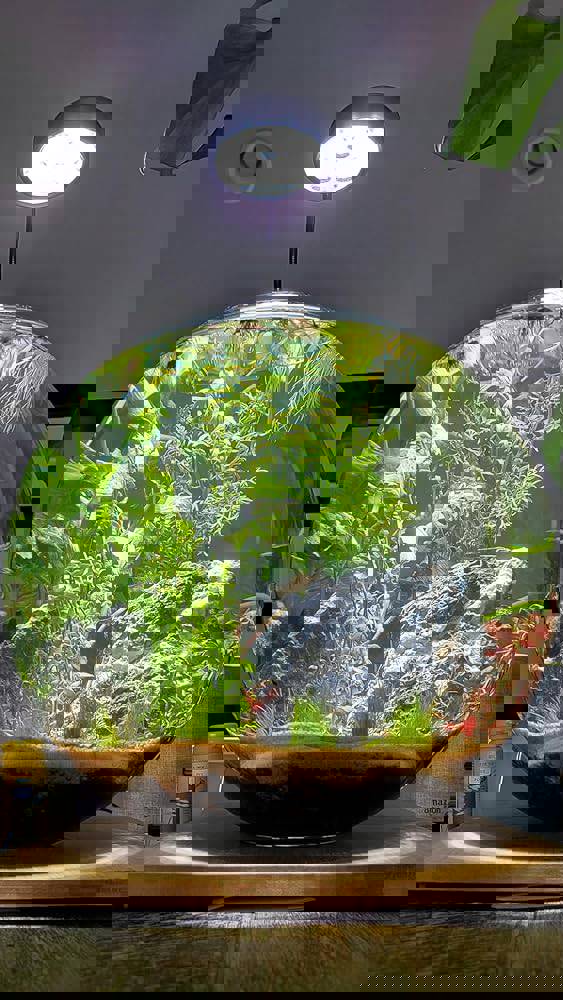 1103706