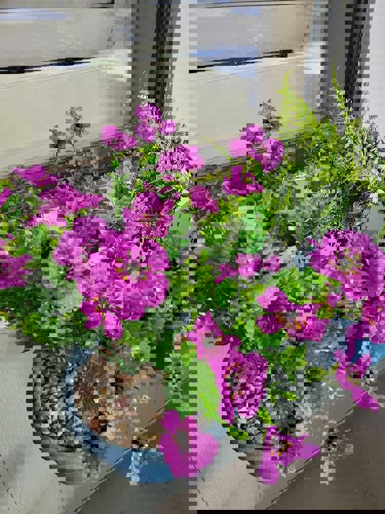 1102818