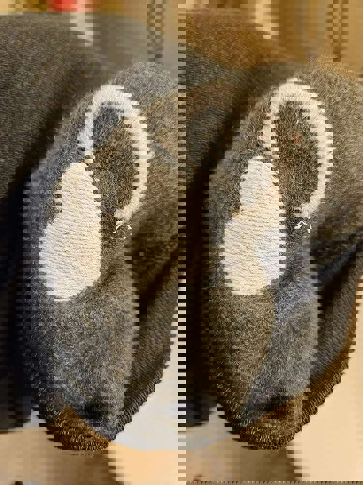1139041