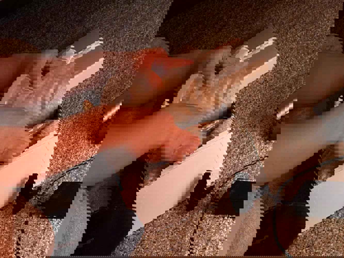 1138986