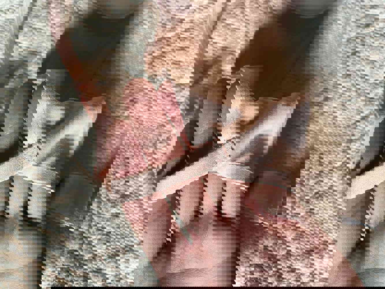 1141818