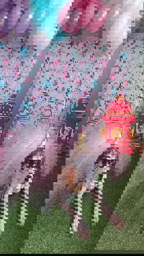 1138086