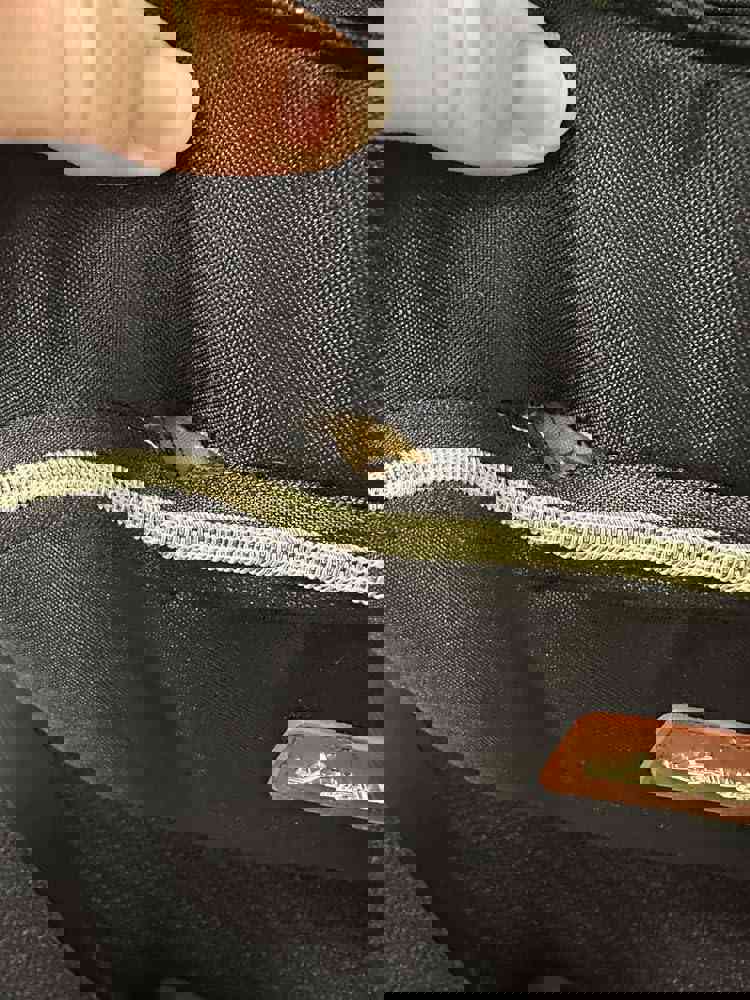 1138646