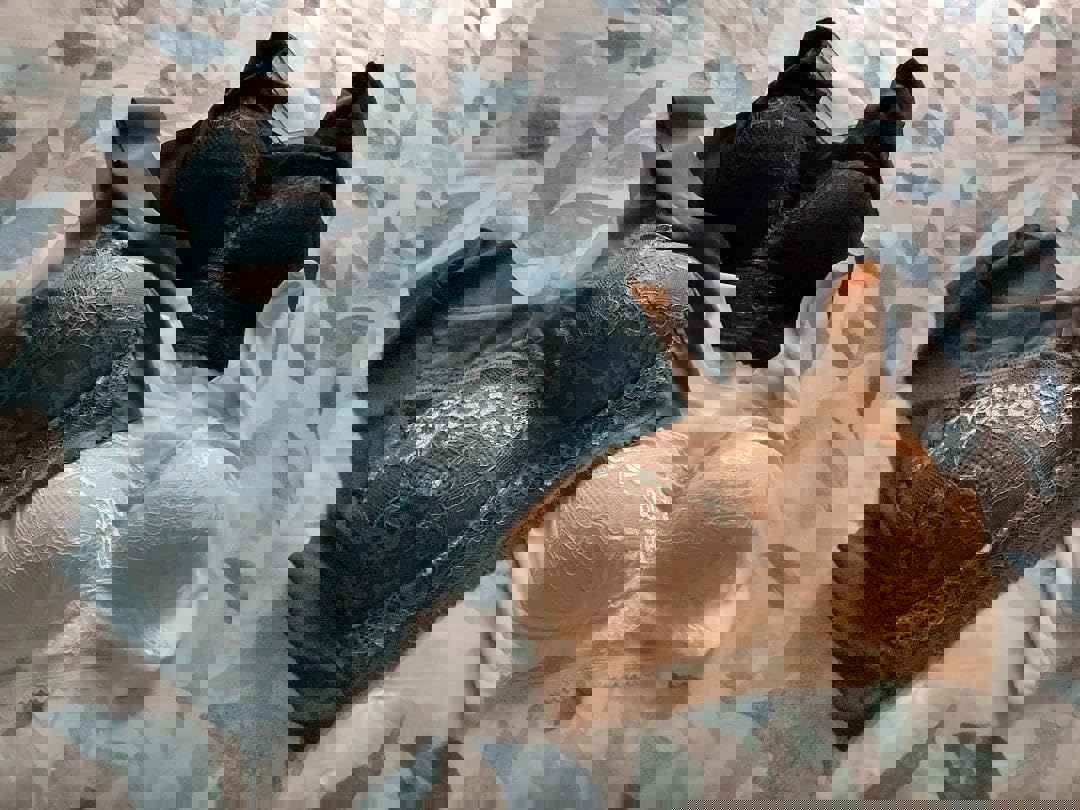 1142790