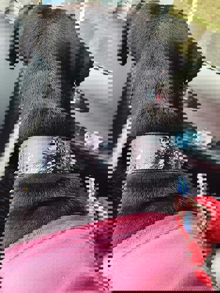 1138778