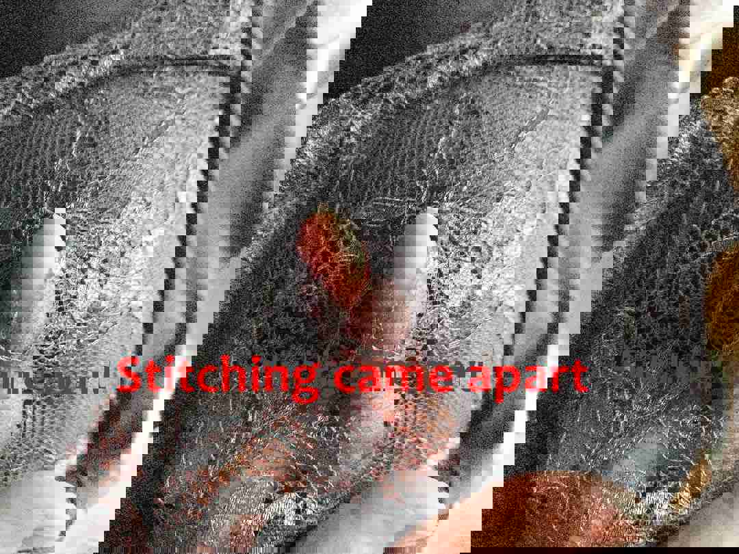 1142797
