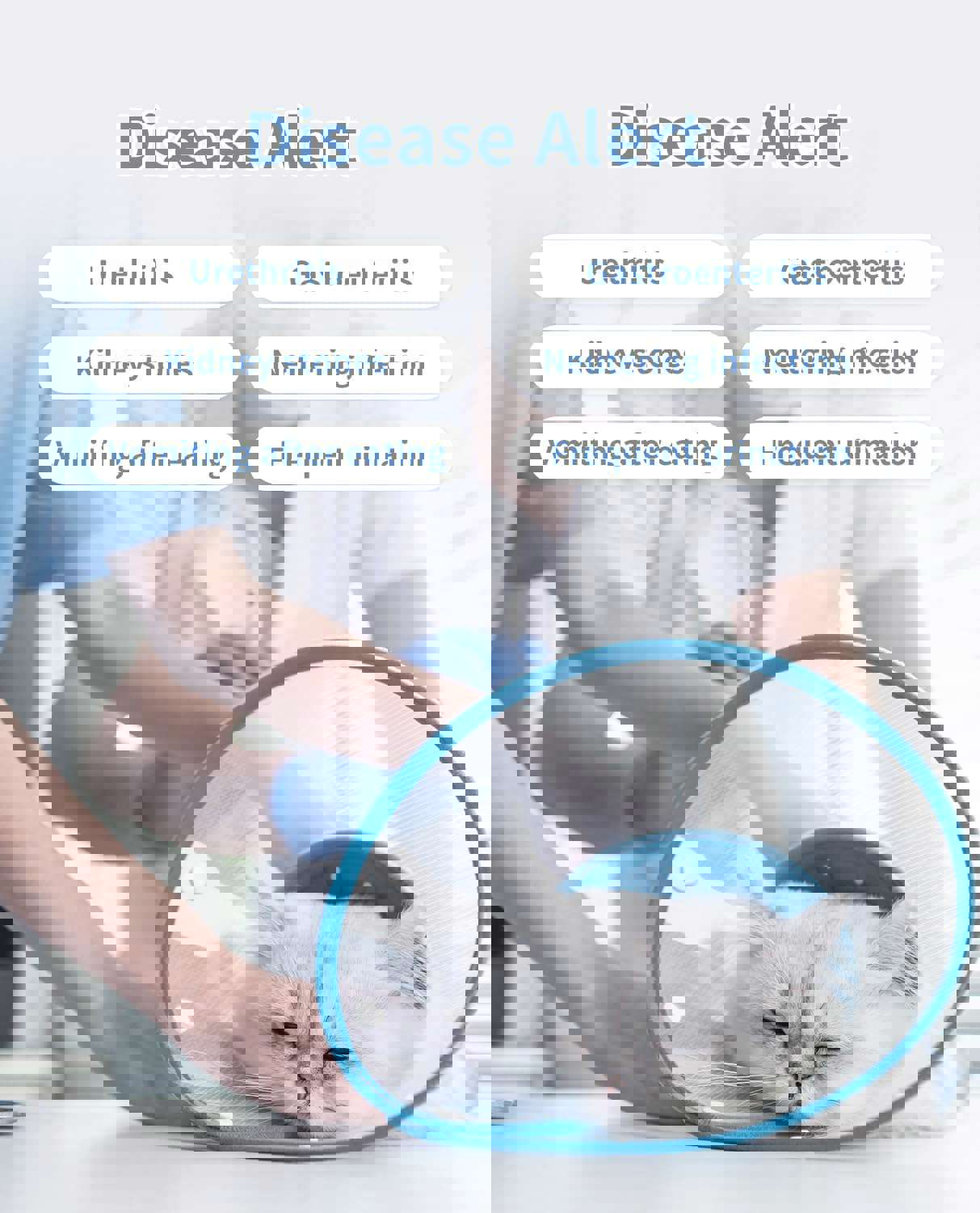 1138895