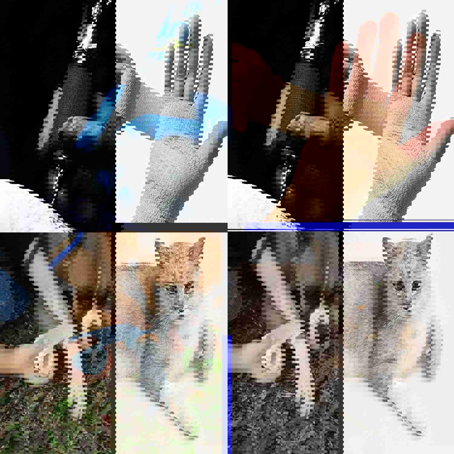 1139412