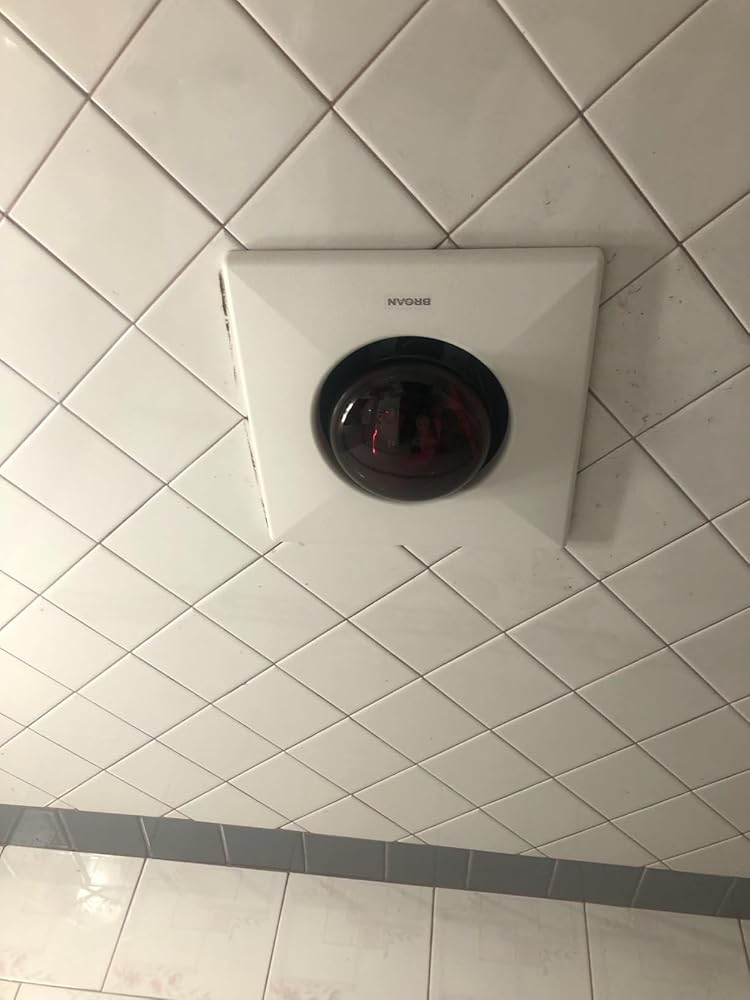 1139061