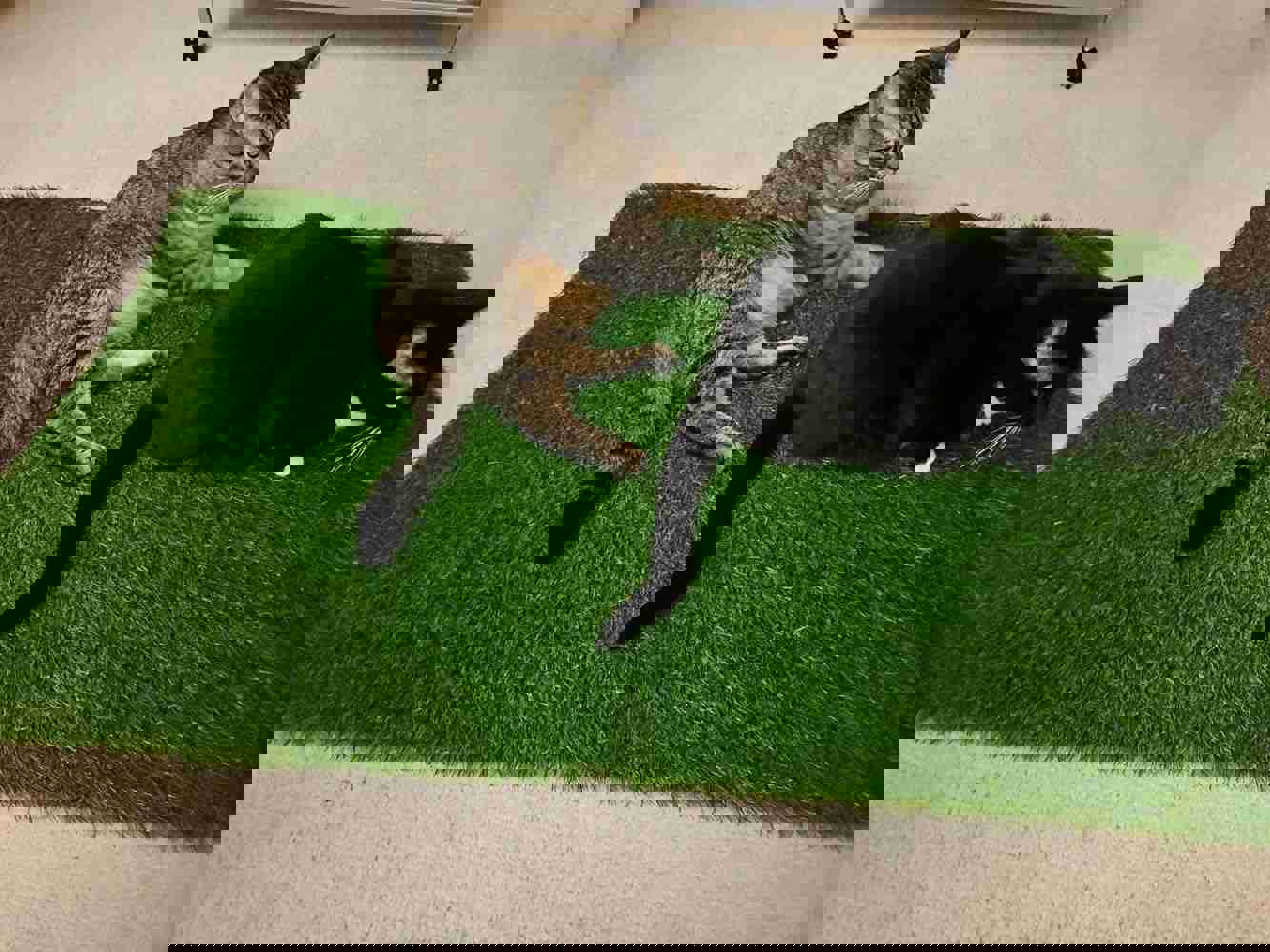 1140307