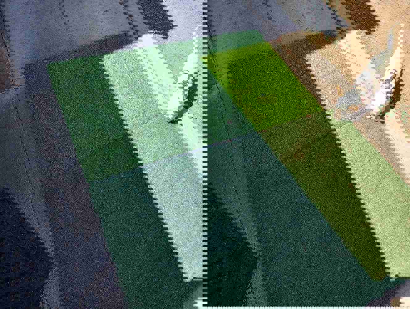 1140305