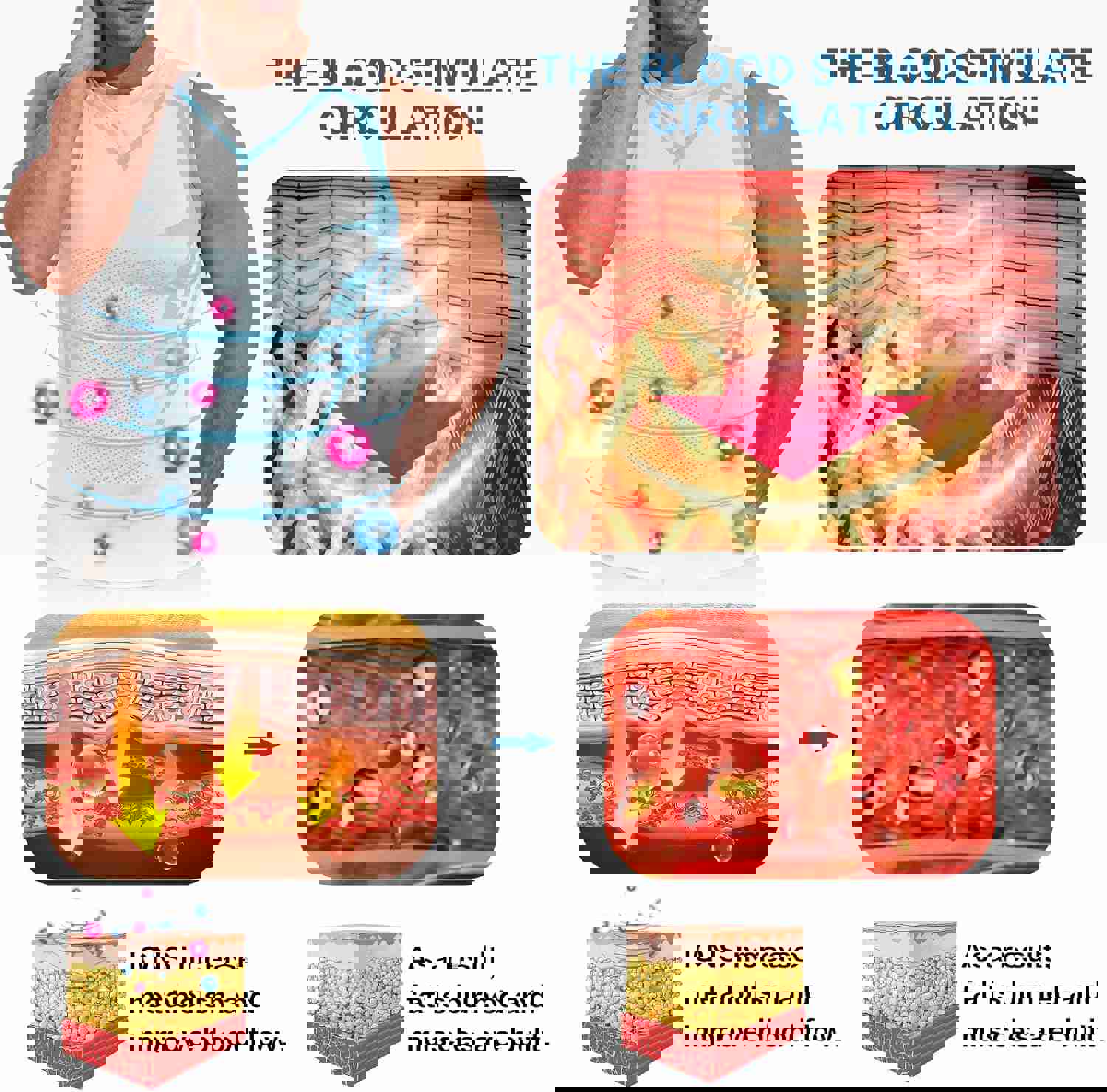 1158081