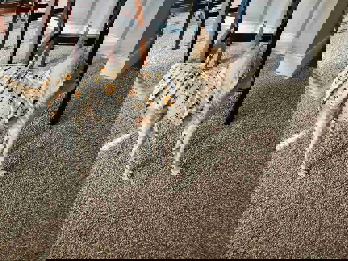 1150436