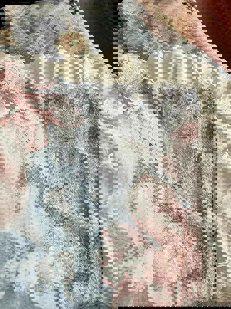 1157253