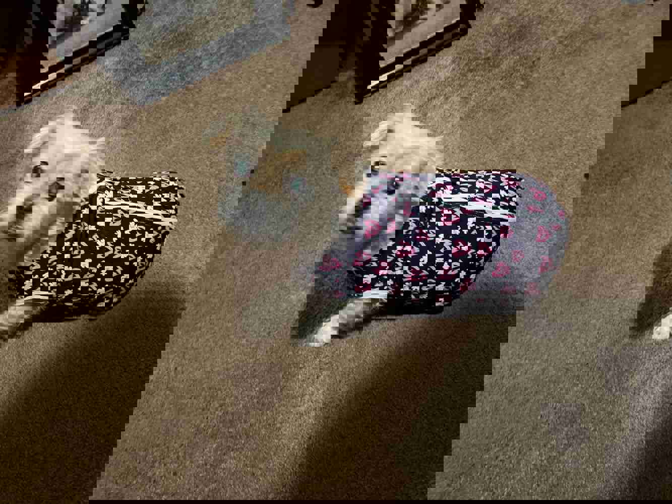 1150437