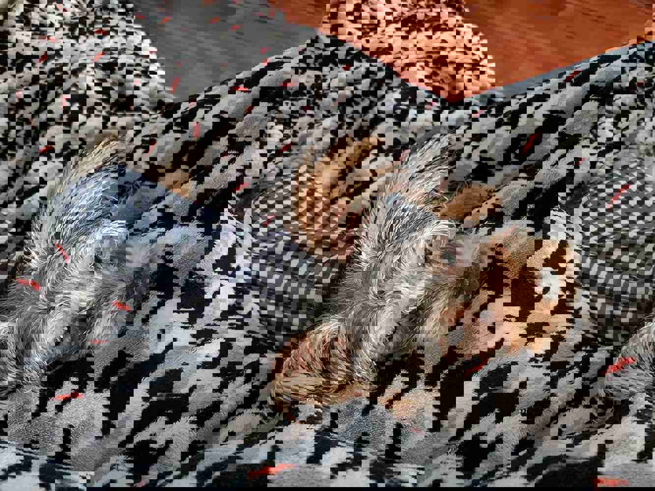 1150438