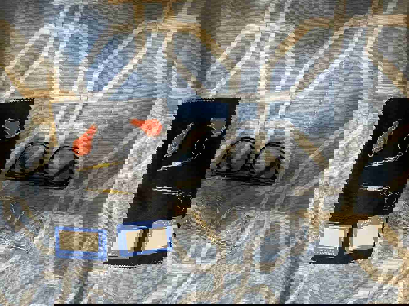 1157774