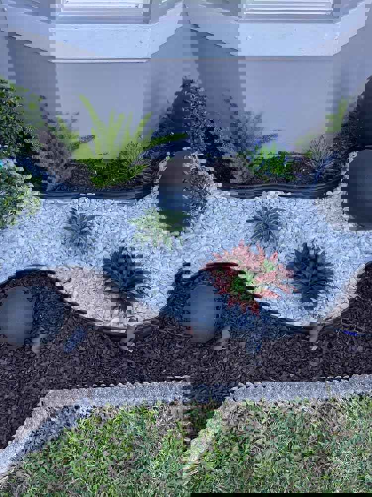 1158839
