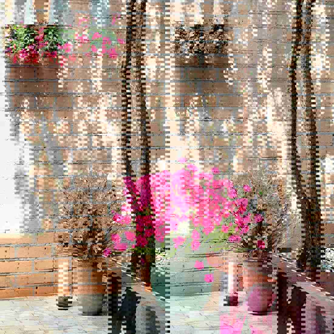 1157259