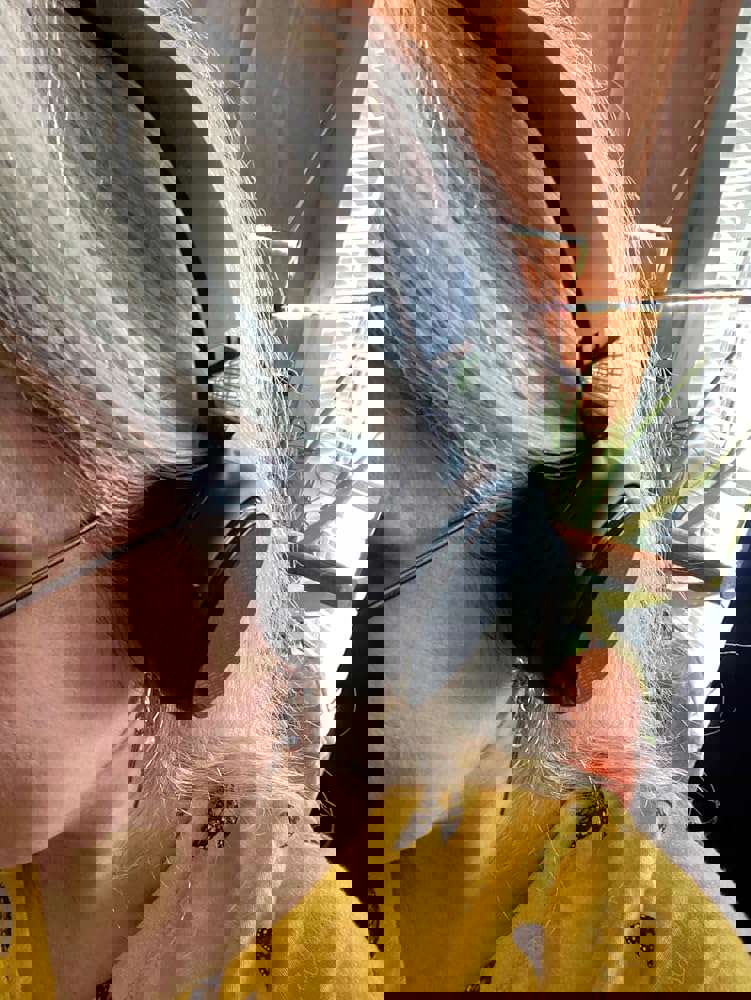 1158827