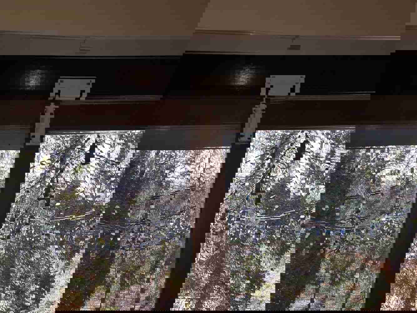 1167151