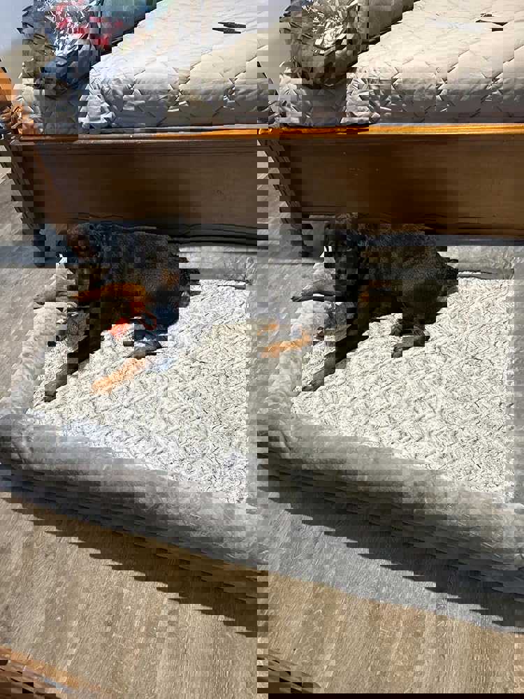 1163917