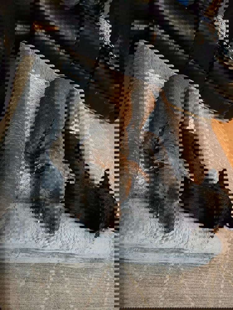 1163916