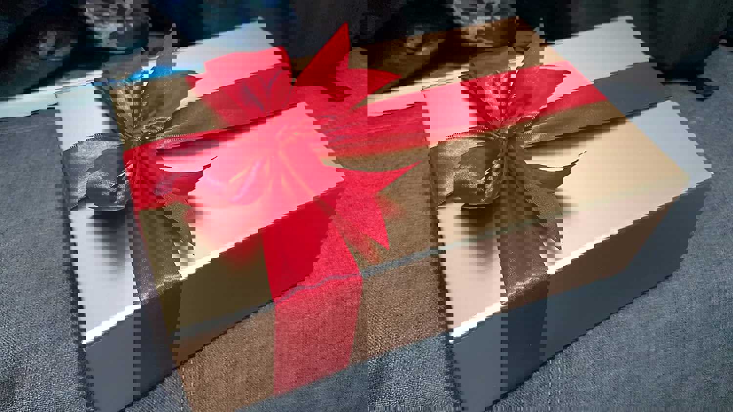 1166712