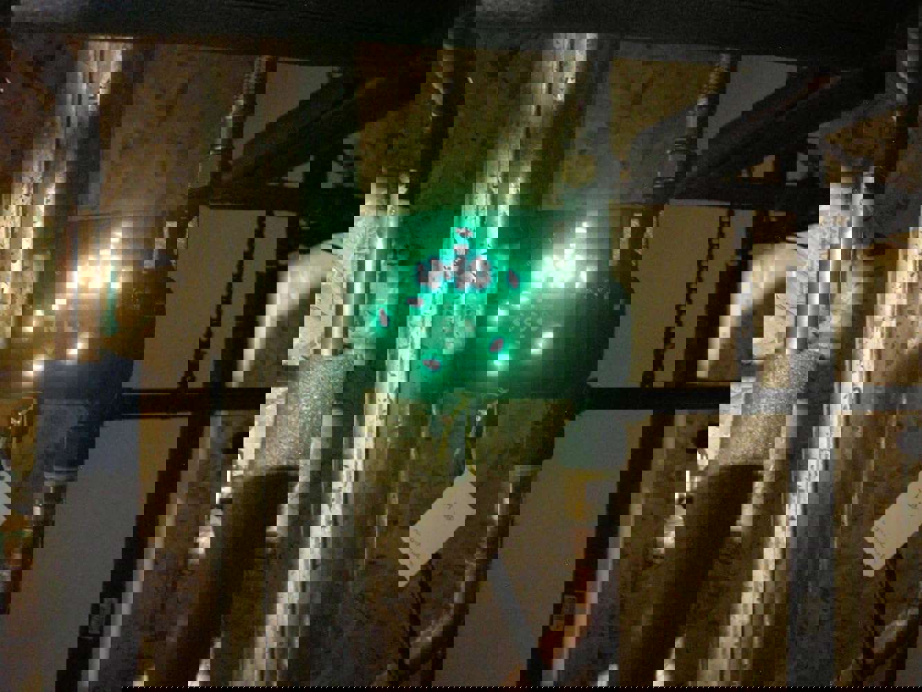 1168661