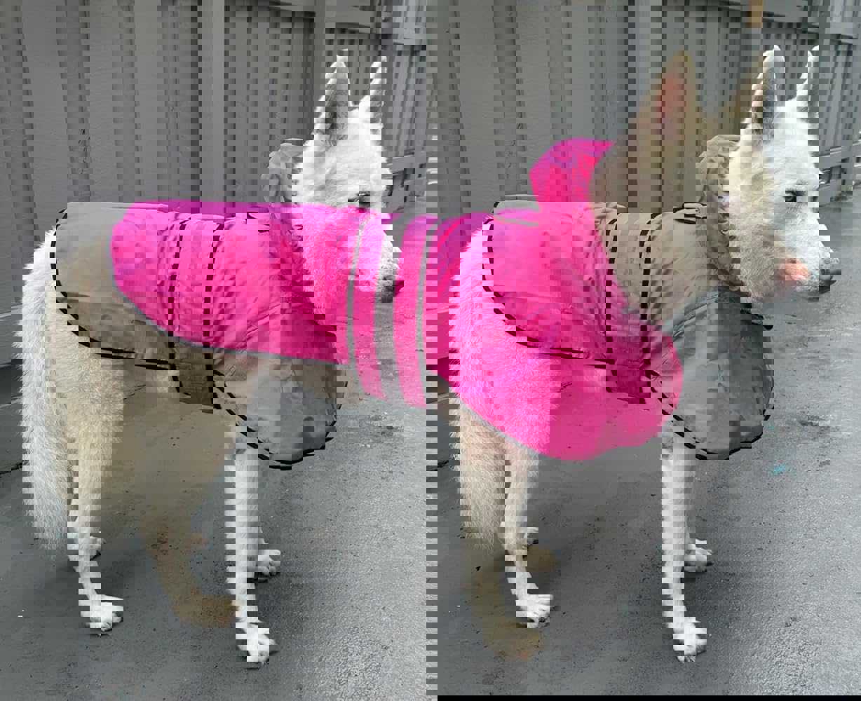 1166833
