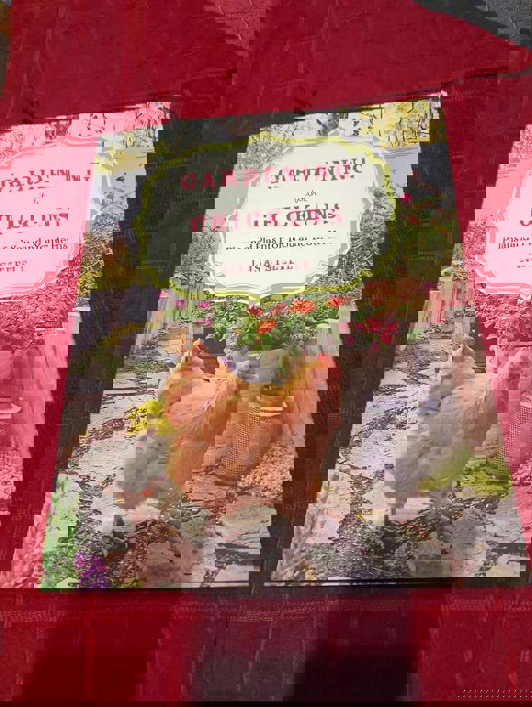 1168404