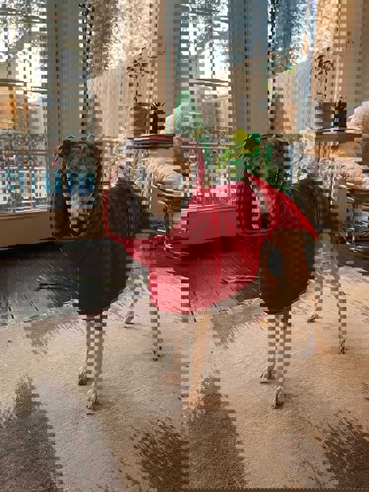 1163901