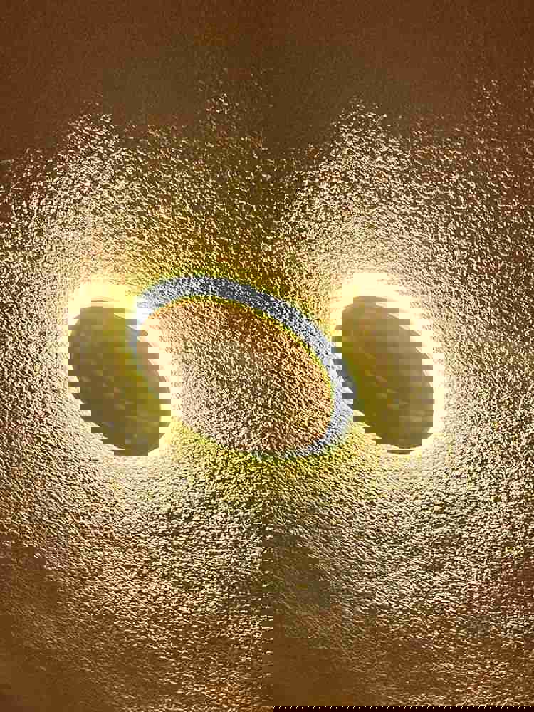 1169127