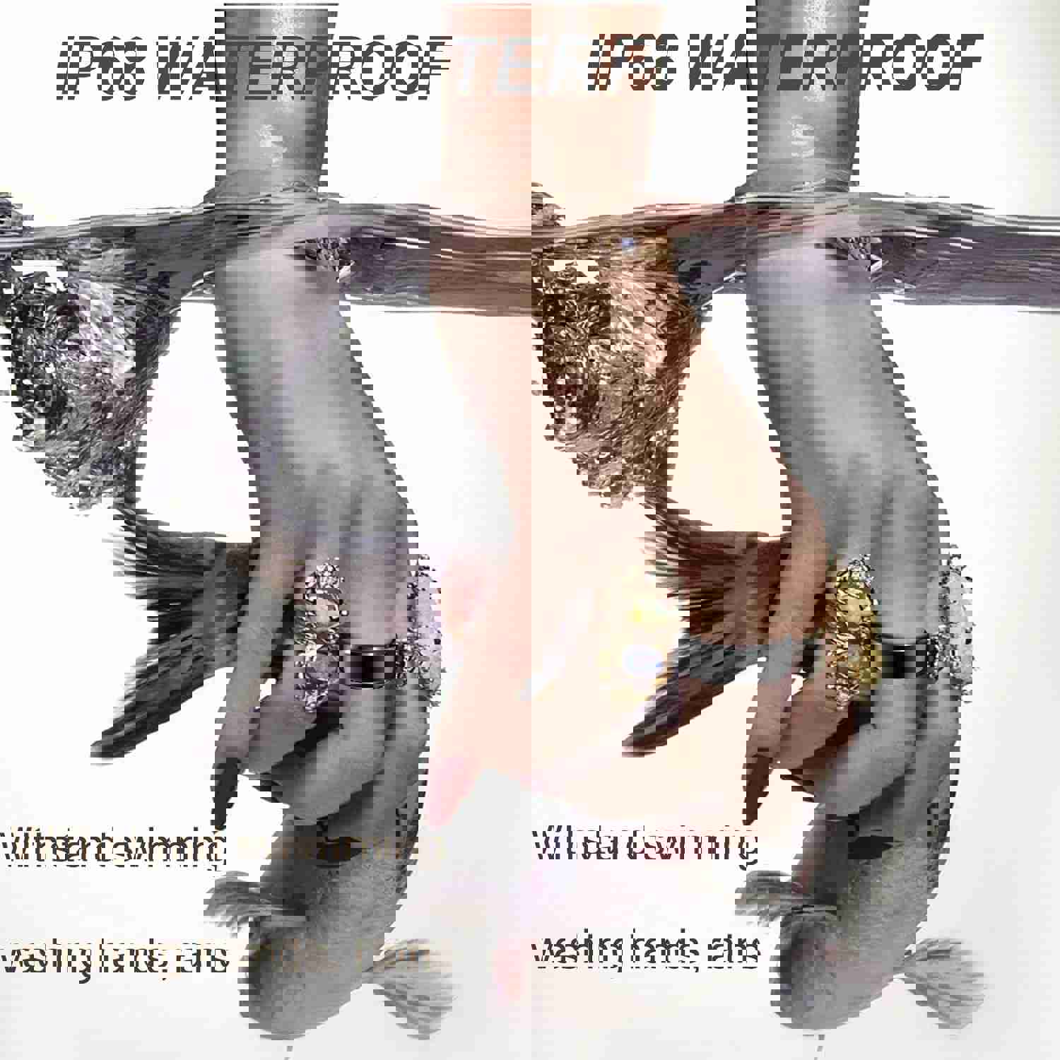 1168444