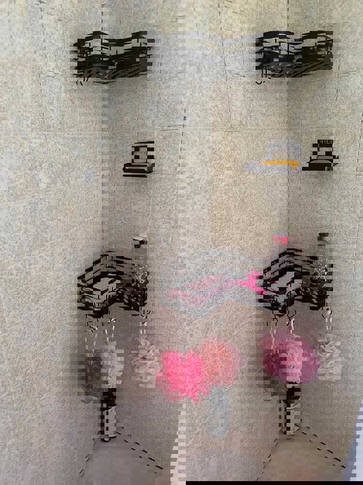 1164604