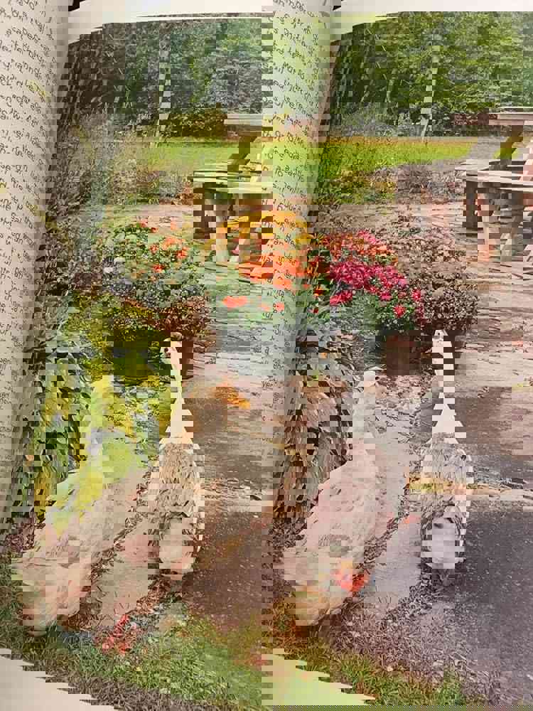 1168400