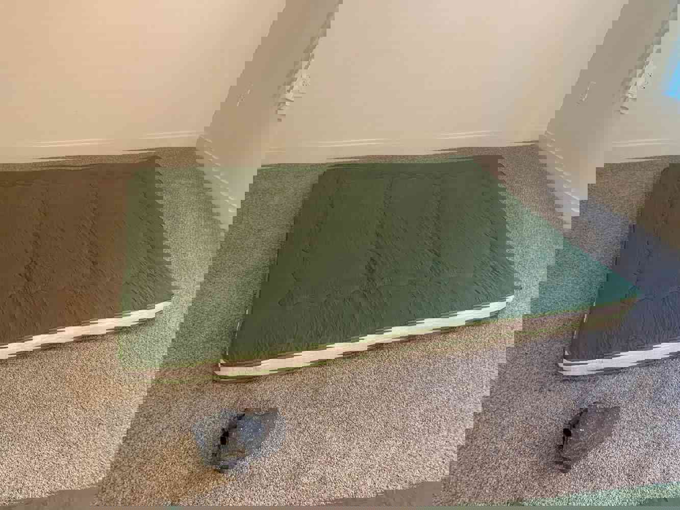1164025