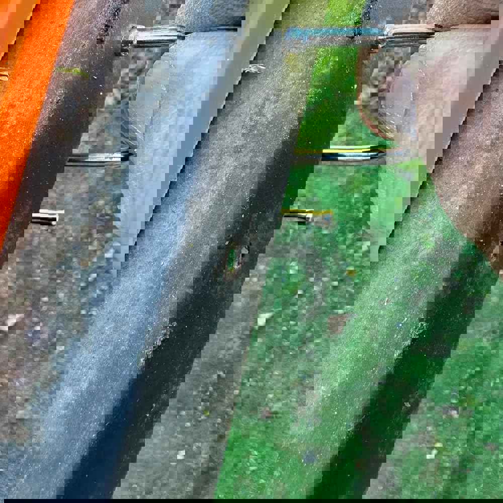 1167536