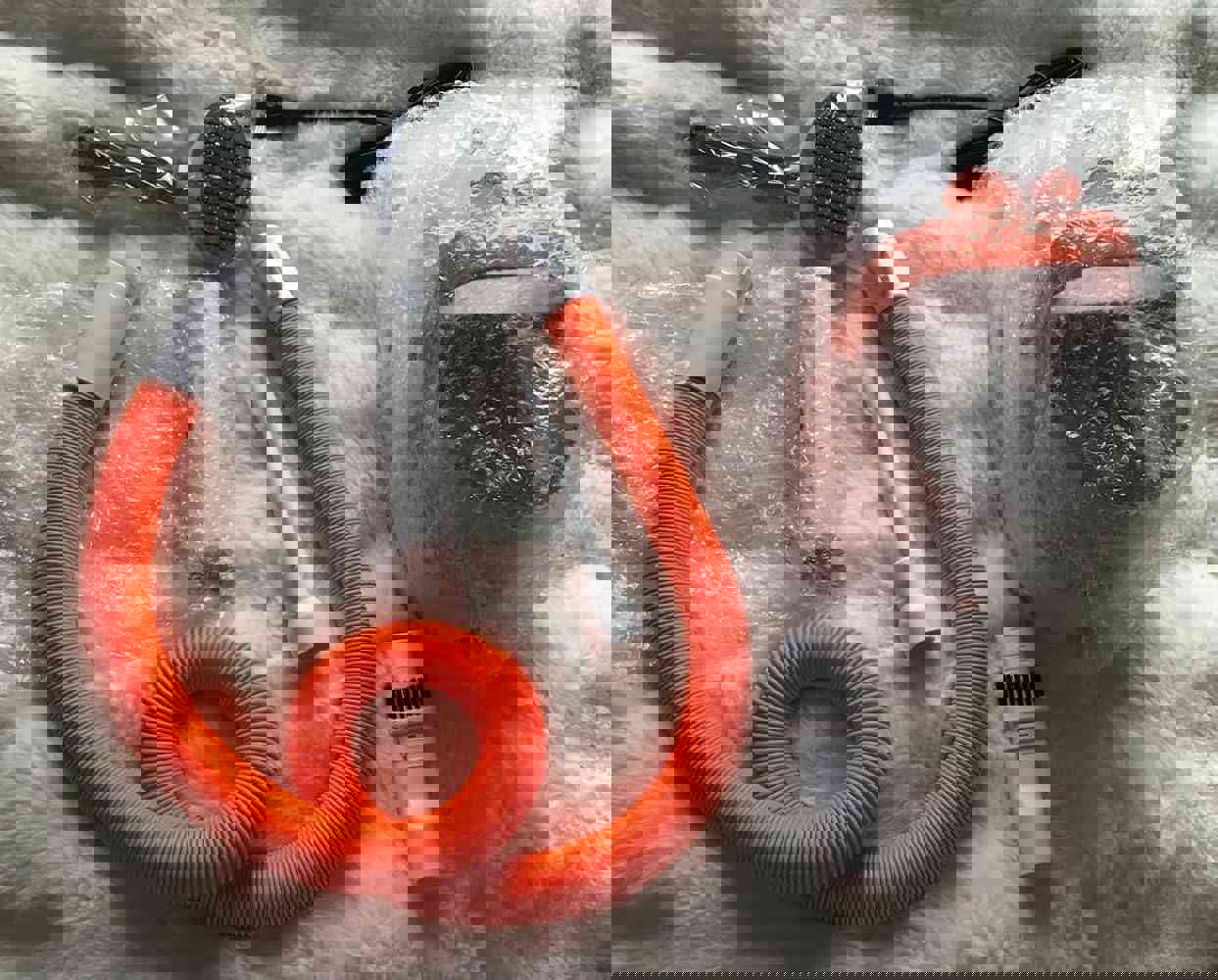 1167646