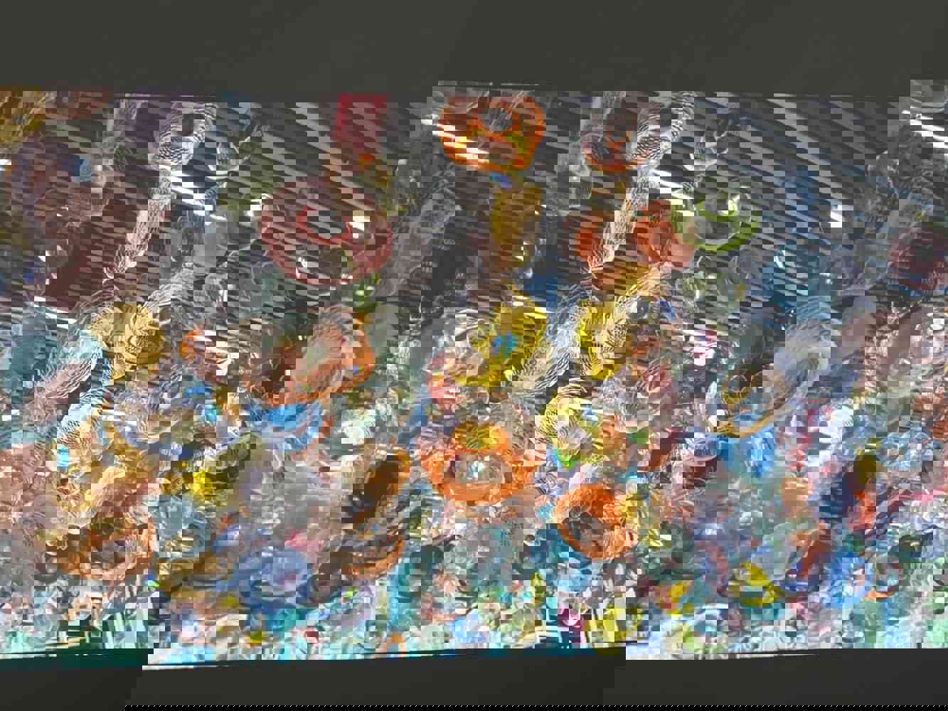 1169079