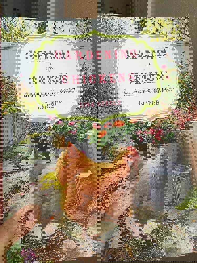 1168399