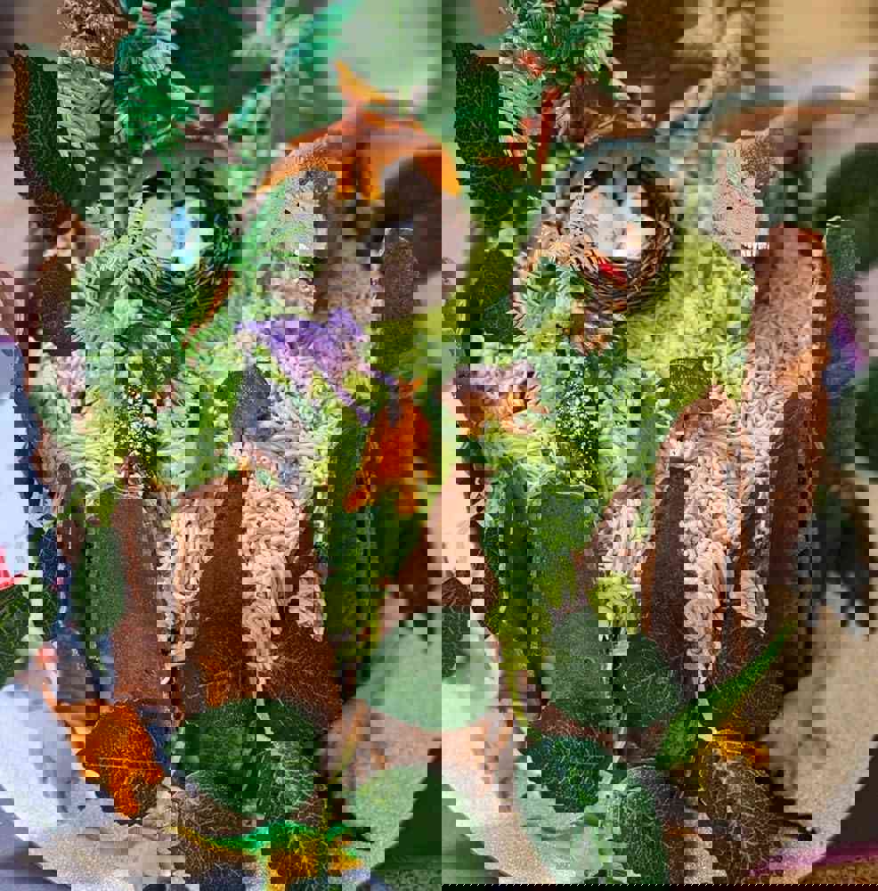 1168341