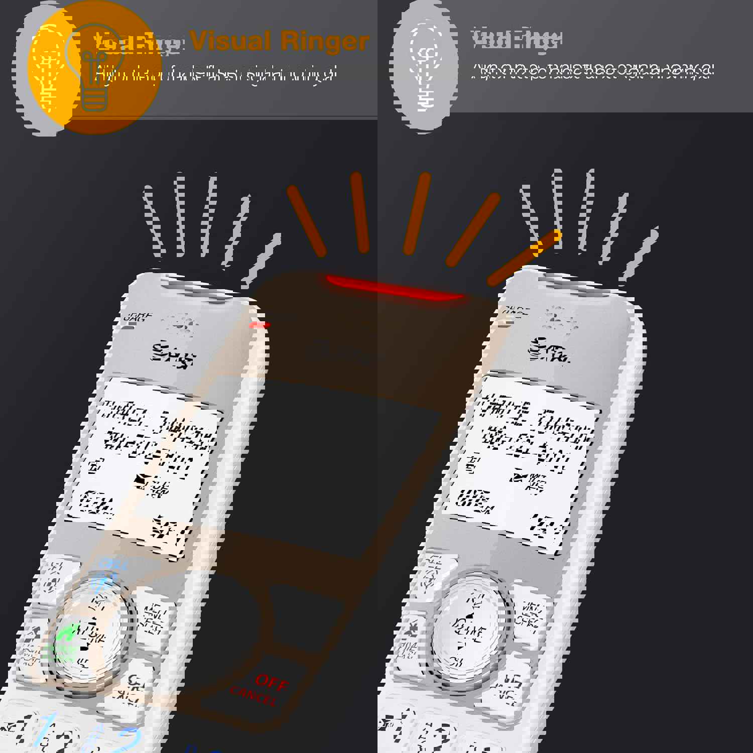 1162381
