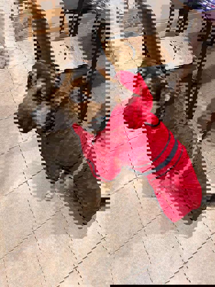 1166836