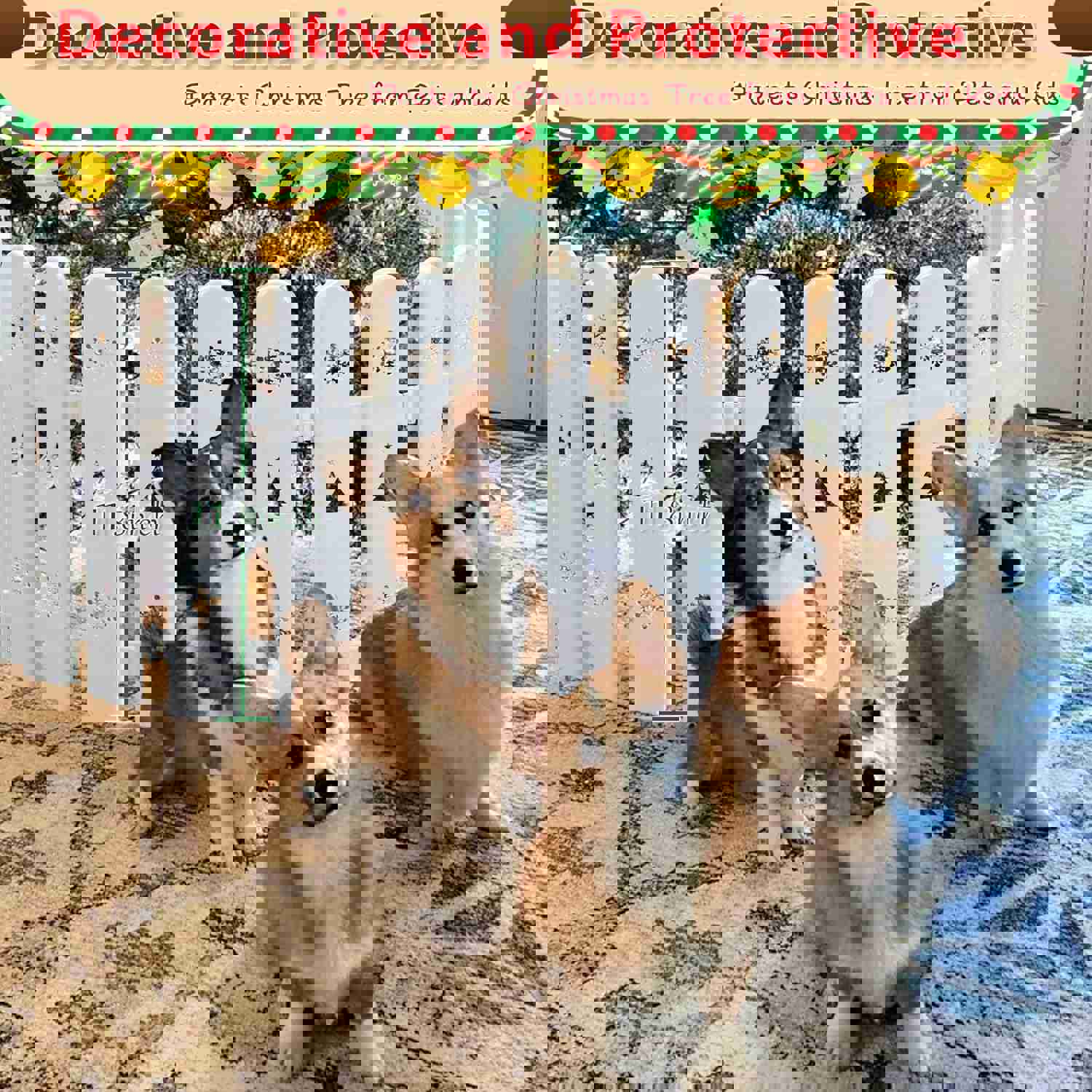 1168953